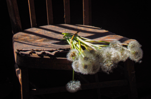 Бренность жизни