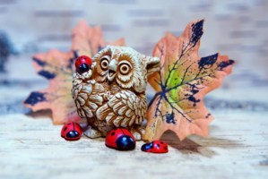 Совка-коровка