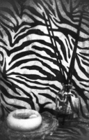 Есть черное. Есть белое.