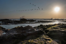 Настала пора возвращаться домой...