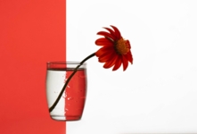 Геометрический этюд