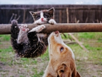 оперативная поддержка :)