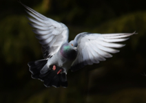 Во всей красе