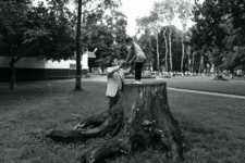 Когда деревья были большими...