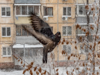 Выходи горку строить!!!