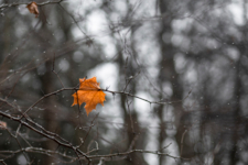 Недолетевший до земли