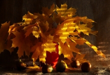 Осенний с инжиром