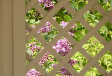 А в саду - сирень...