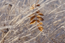 Задержался