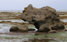 когда царевич не пришёл