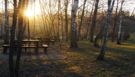 Ноябрьское утро.