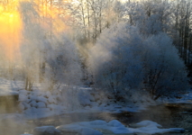 Холодный свет