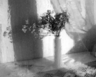 И выглянуло солнце!