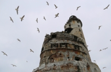 Жители старого маяка