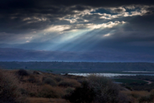 Тревожное утро