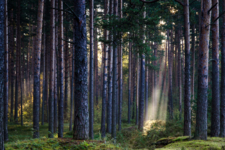 Солнечный "фонарик"