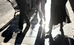 Много солнца, много тени