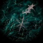 Если снежинка не растает...