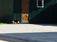 Свет и тень, черное и белое