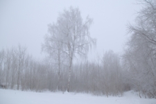 Зима в серебре