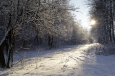 Мороз и солнце