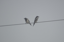 Не подходи ко мне, я обиделась...