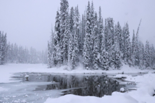 Северный Пейзаж