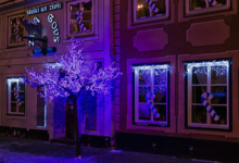 Расцвела под окошком новогодняя вишня