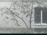 Объект и отражение противоположны и неразделимы