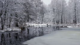 Скоро зима.