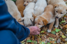 когда мамаши нету дома...