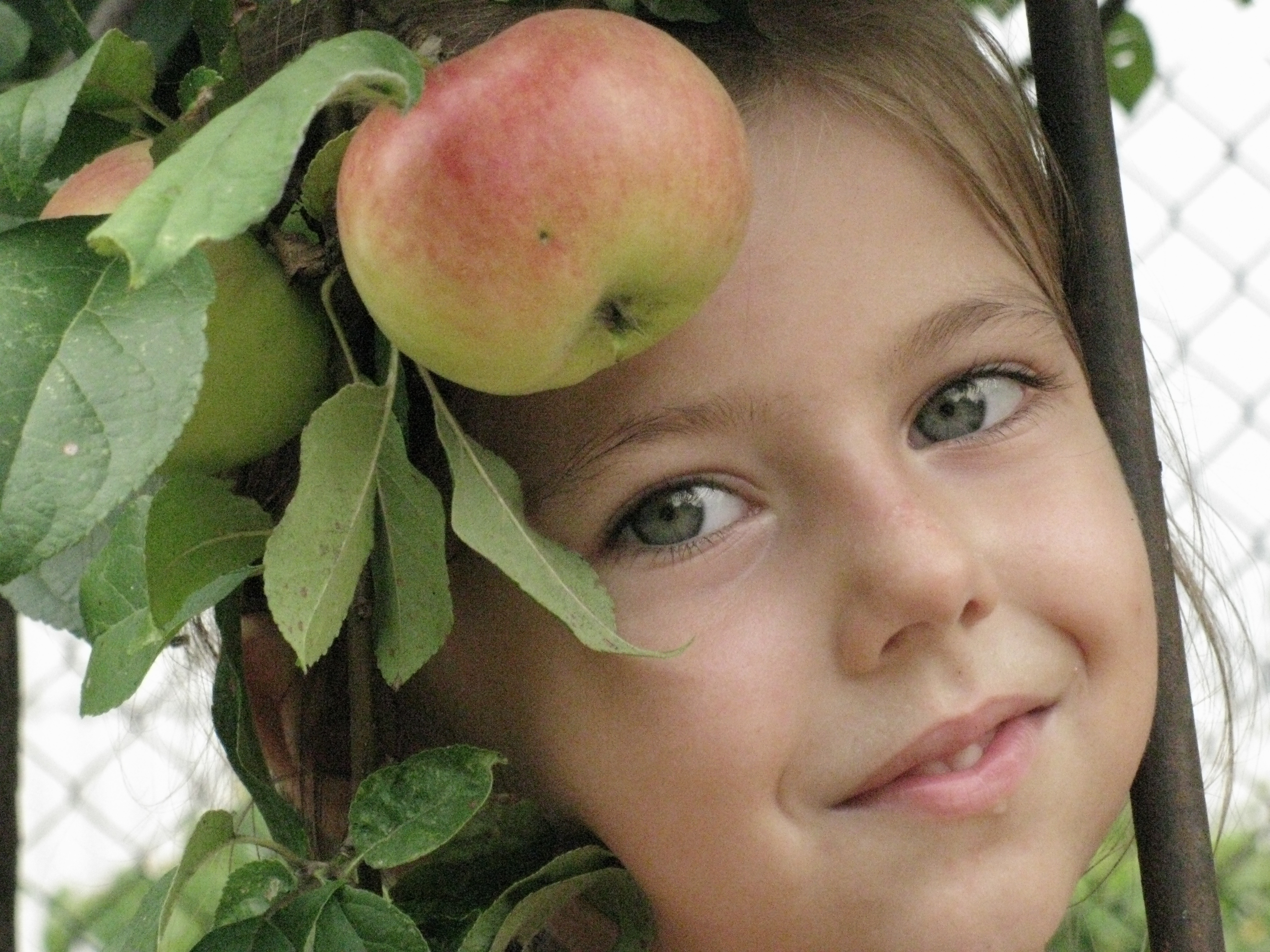Сафонова виктория викторовна саратов яблонька фото