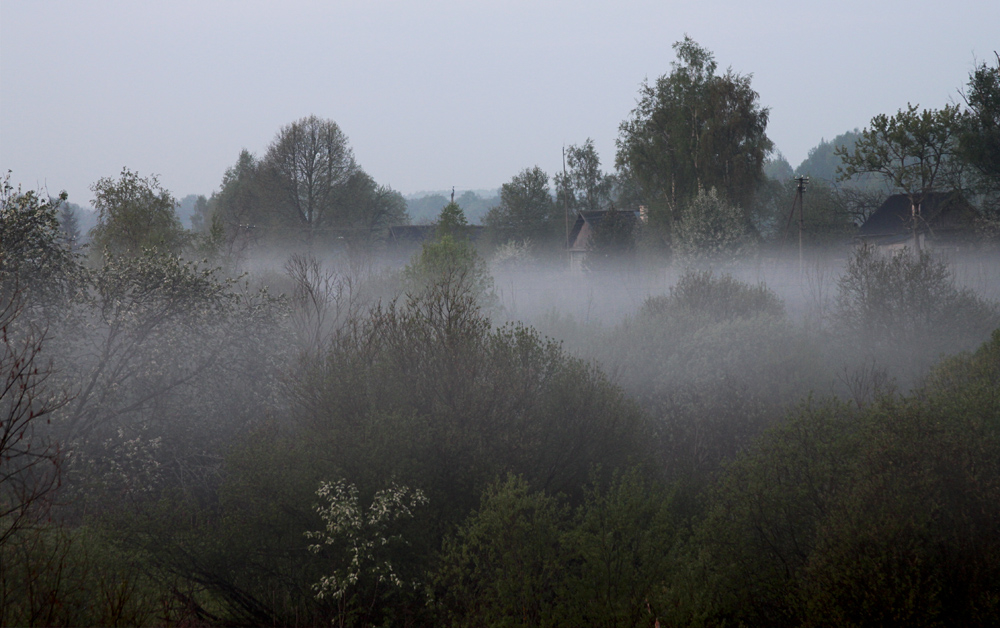 Туман пришел в движение. Туманы растуманы. И лес неведомый лучам в тумане. Оз Среднесатыгинский туман. Пришедшая с туманом.