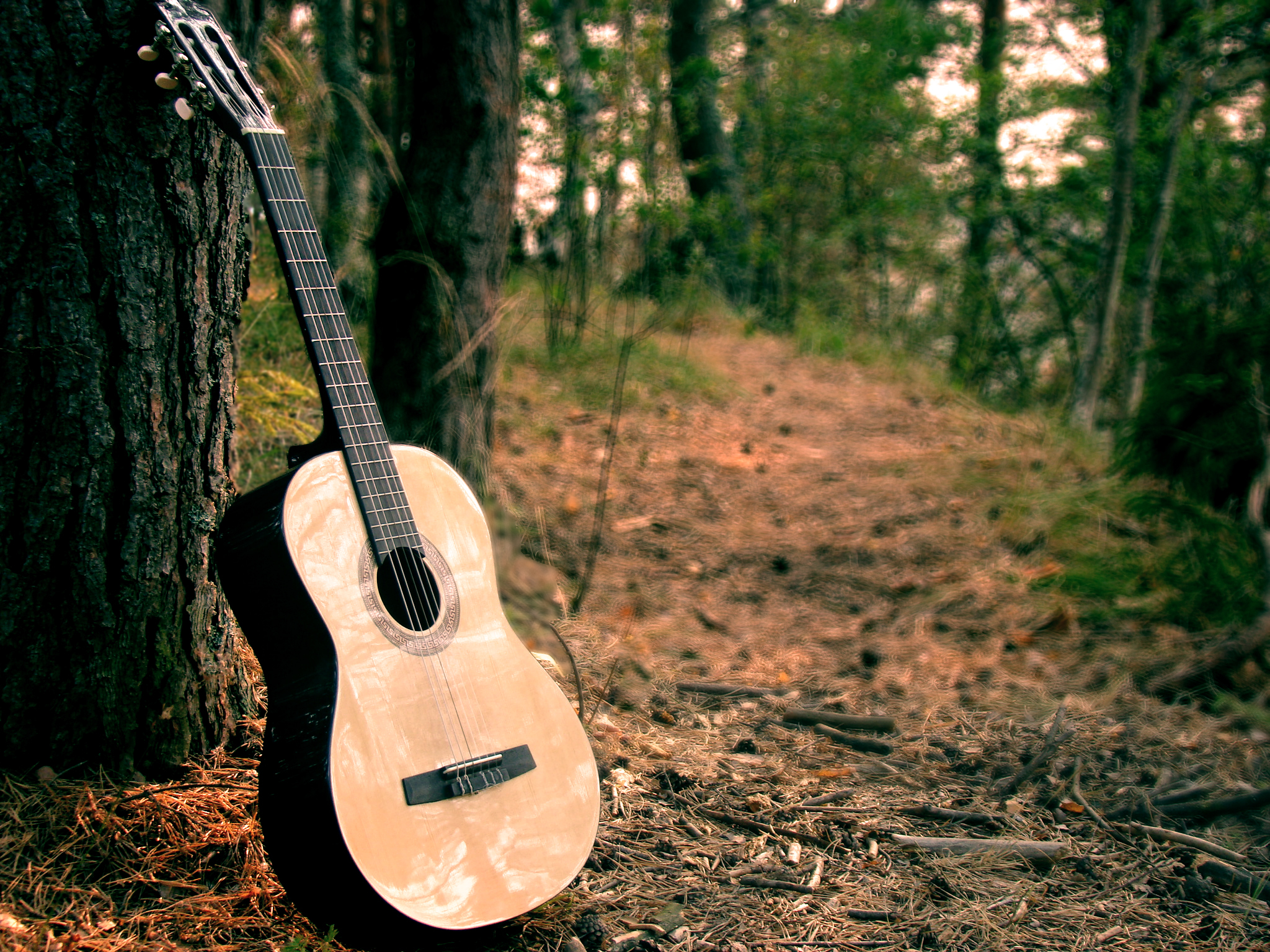 Хайриддин бзан гитара. Электрогитара на природе. Электрогитара в лесу. Классическая гитара на природе. Акустическая гитара лес.