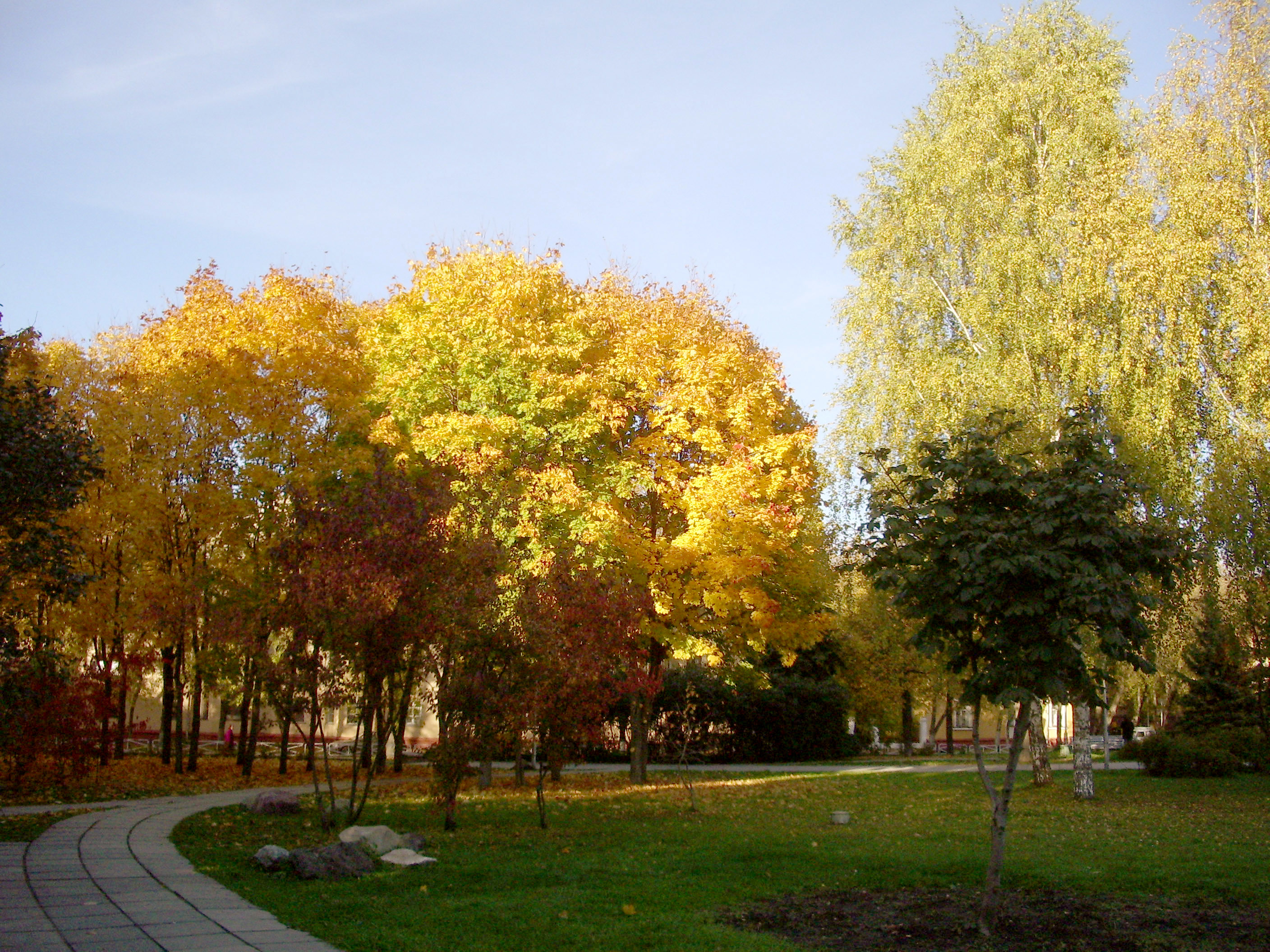 Ставрополь осень. Липра осенью в сквере Ставрополь. Осень в г.Лыткарино. Ставрополь осенью.