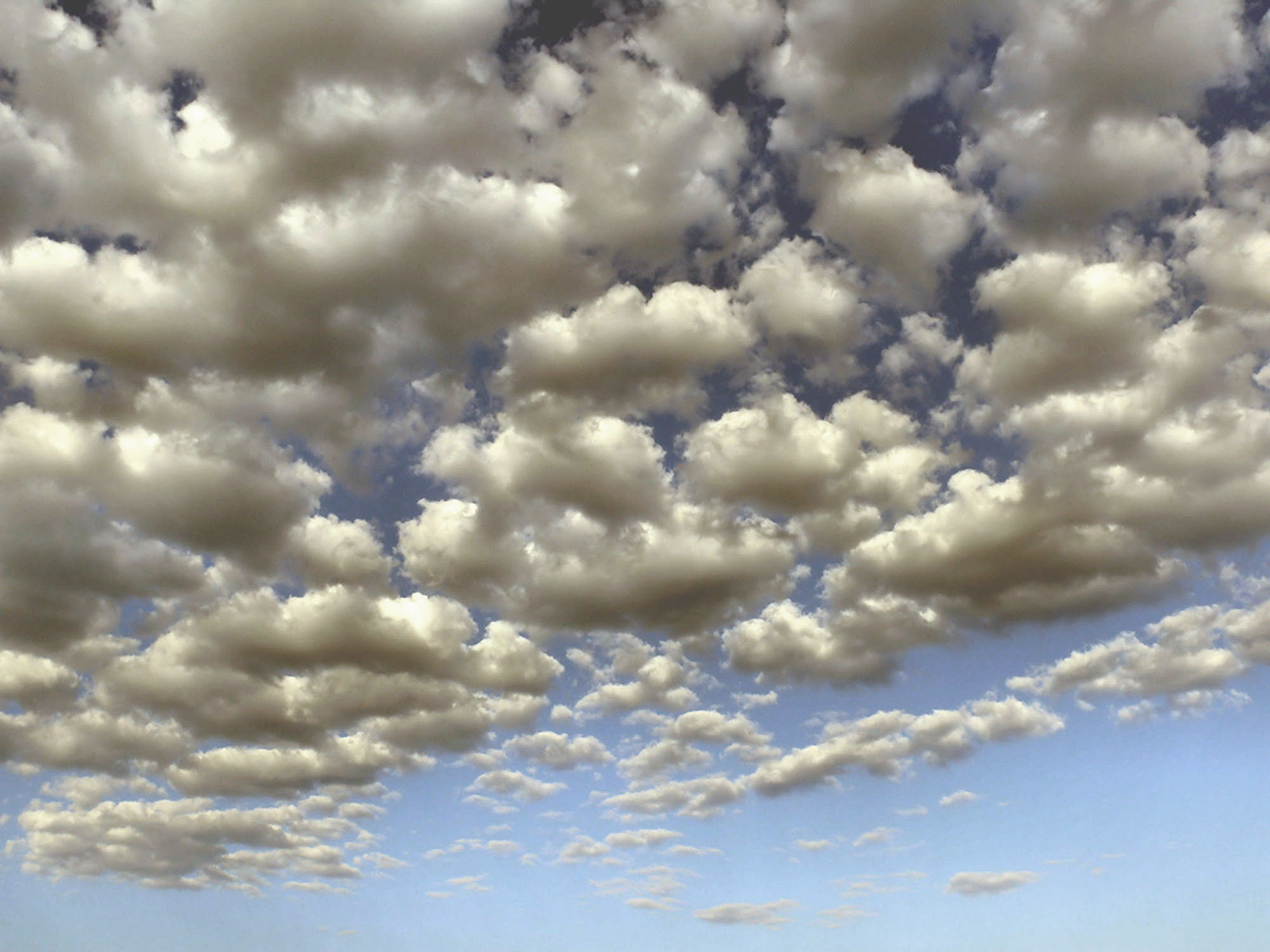 Хмурится небо какое. Небо хмурится. Облака Воробьева. Доброе утро небо хмурится. Воробышек на облачке картинка.