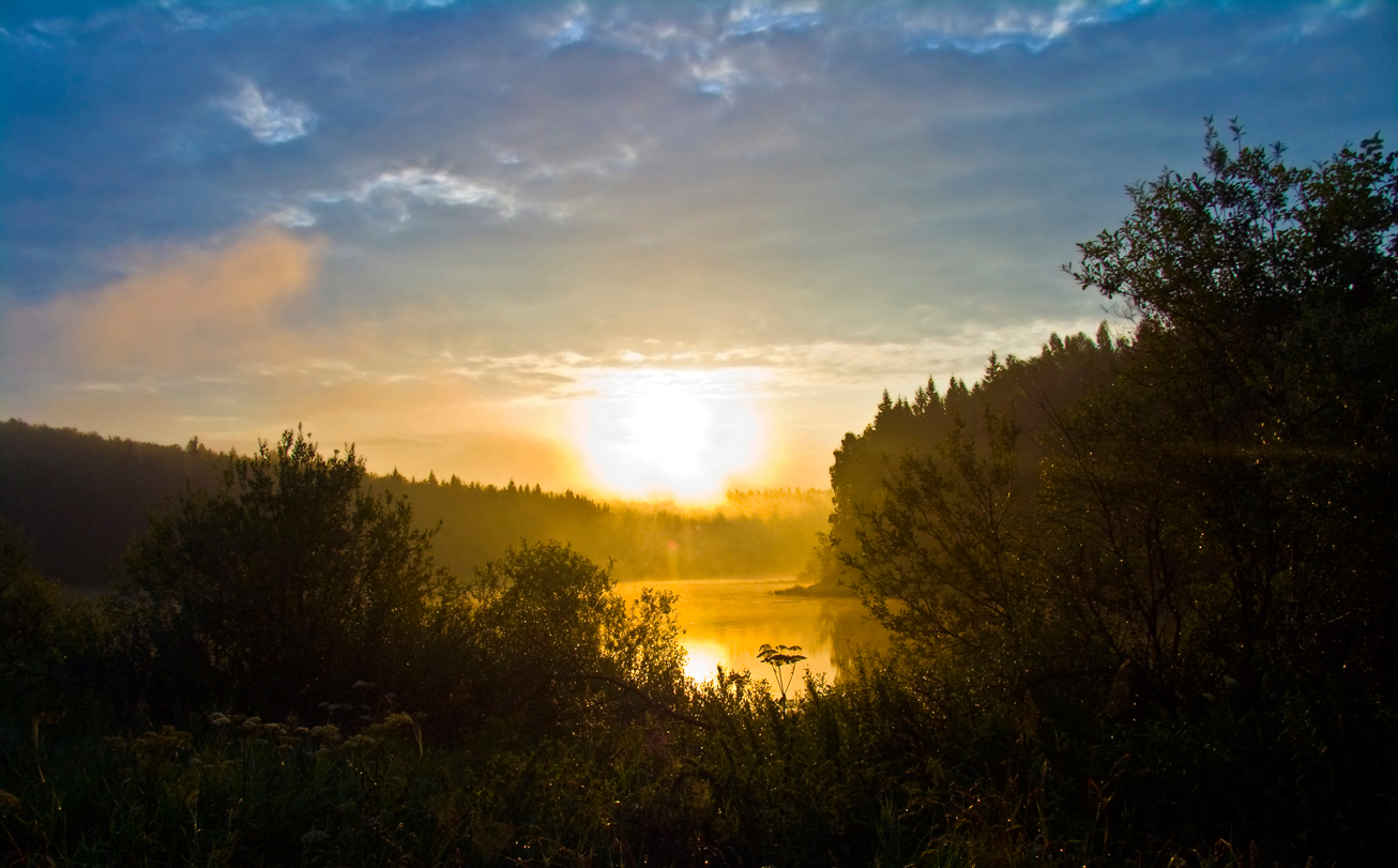 Зорька утренняя фото