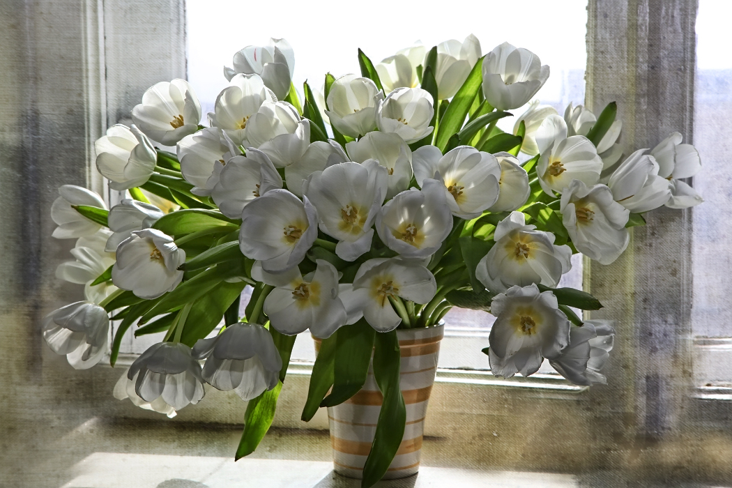 Доброе весеннее утро с тюльпанами картинки. Весенний букет. Букет весенних цветов. Красивый букет весенних цветов. Тюльпаны в вазе.