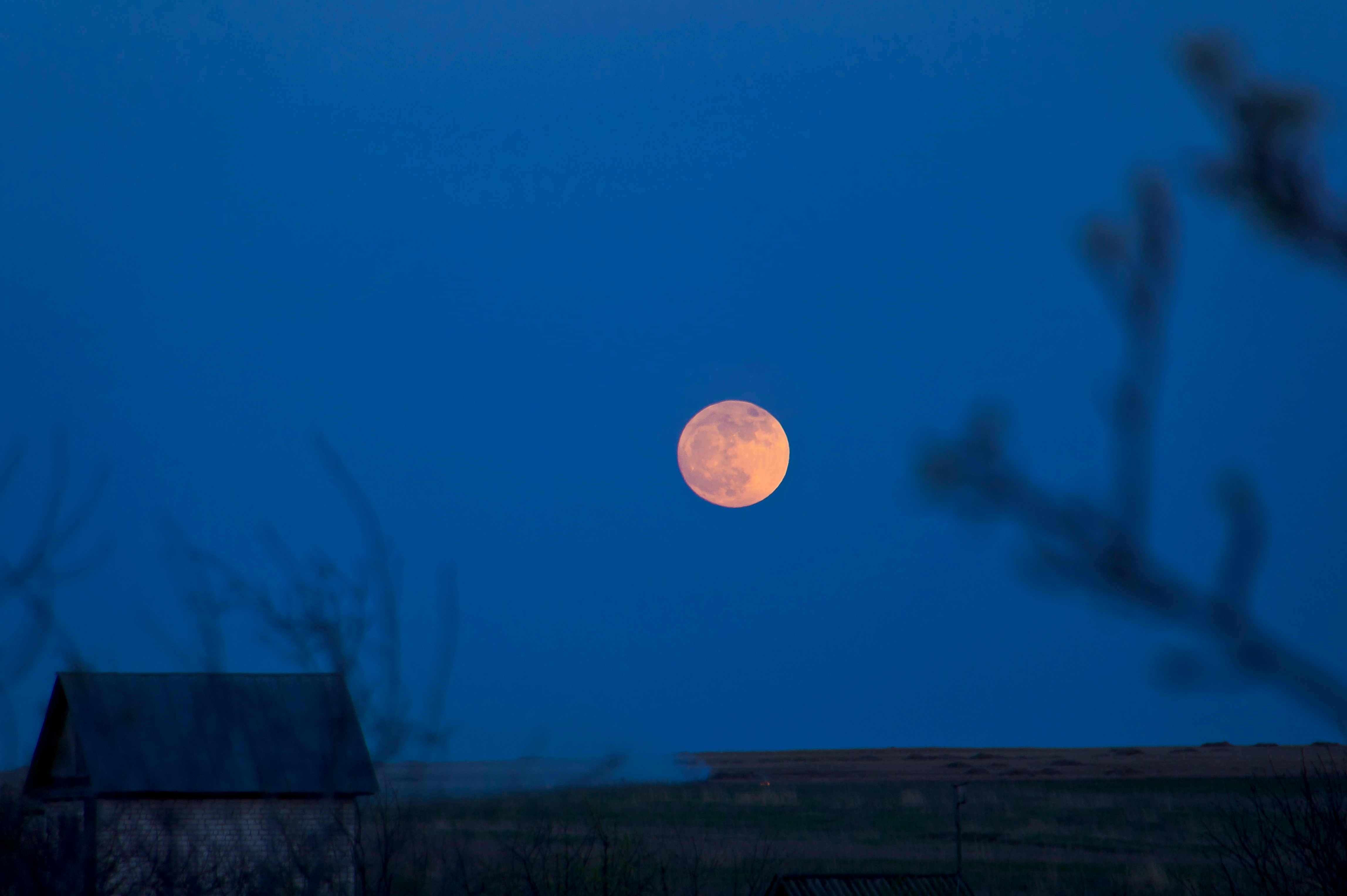 Почему луна низко. Луна над горизонтом. Луна над домами над горизонтом. Луна над горизонтом фото. Луна над горизонтом во Владивосток.