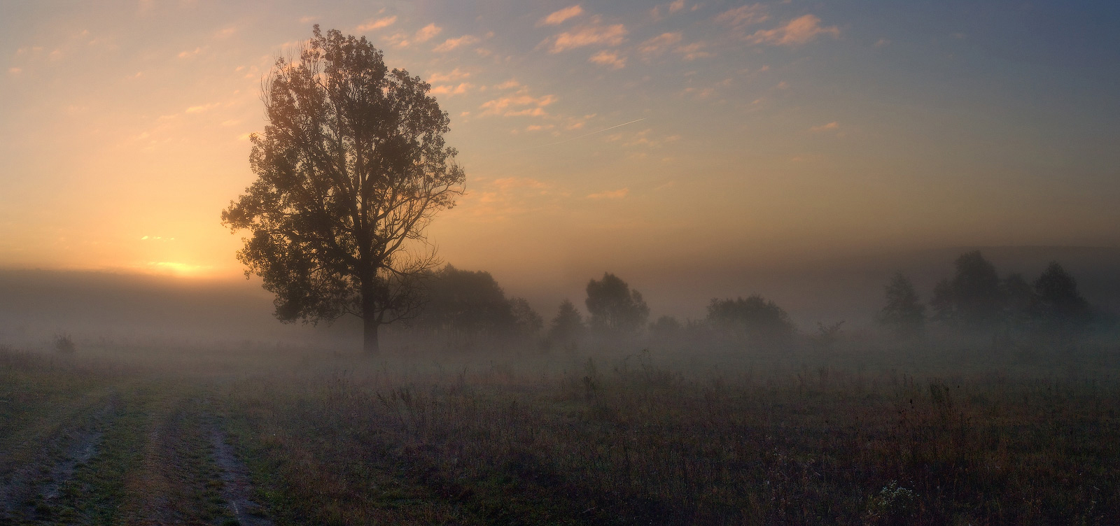 Беззвучные поля. Осенний туман. Поле в тумане. Осеннее поле в тумане. Осень поле туман.