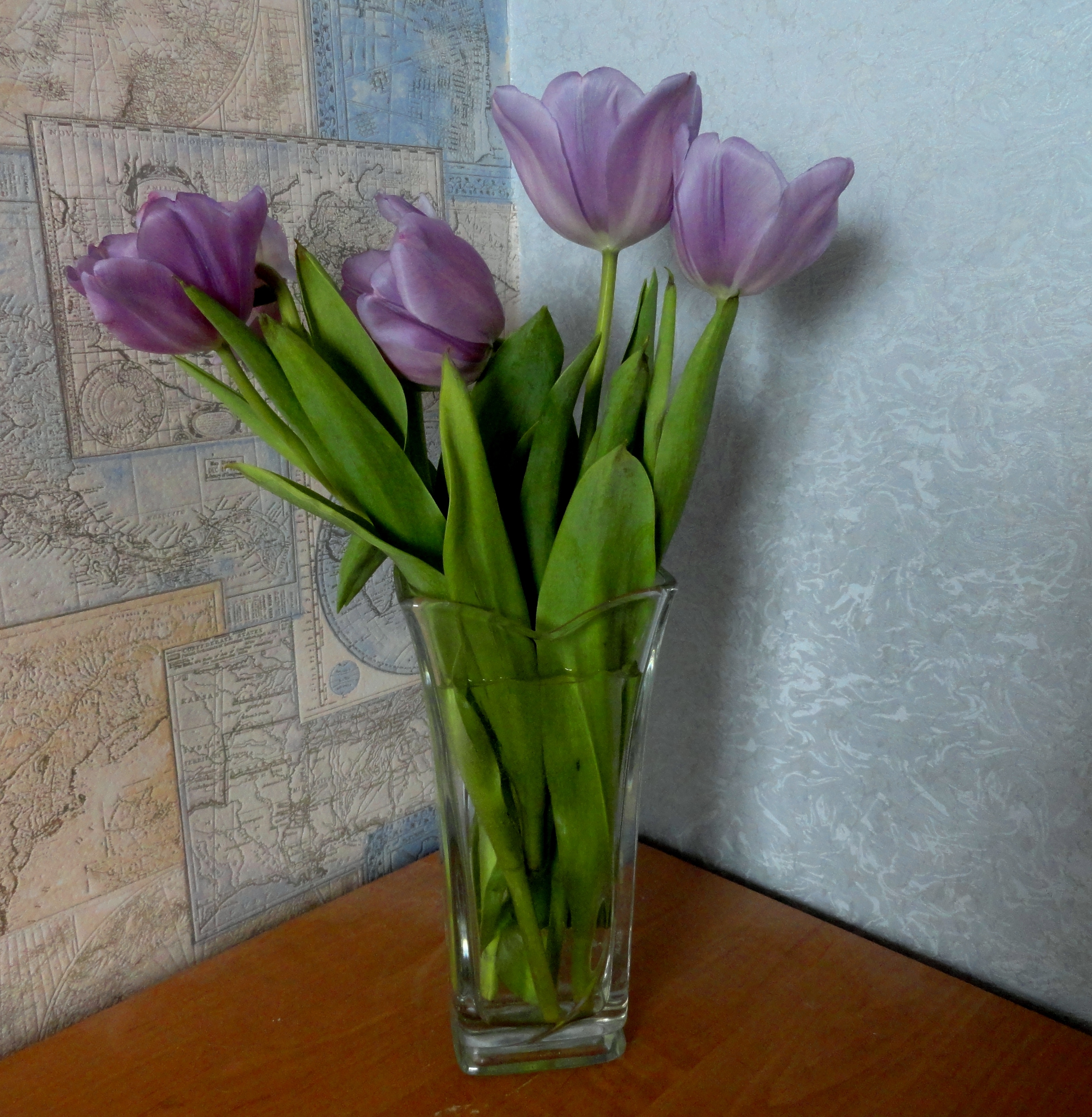 Фото тюльпаны в вазе на столе. Тюльпаны в вазе. Тюльпаны домашние в вазе. Букет тюльпанов в вазе. Тюльпаны в вазе дома.