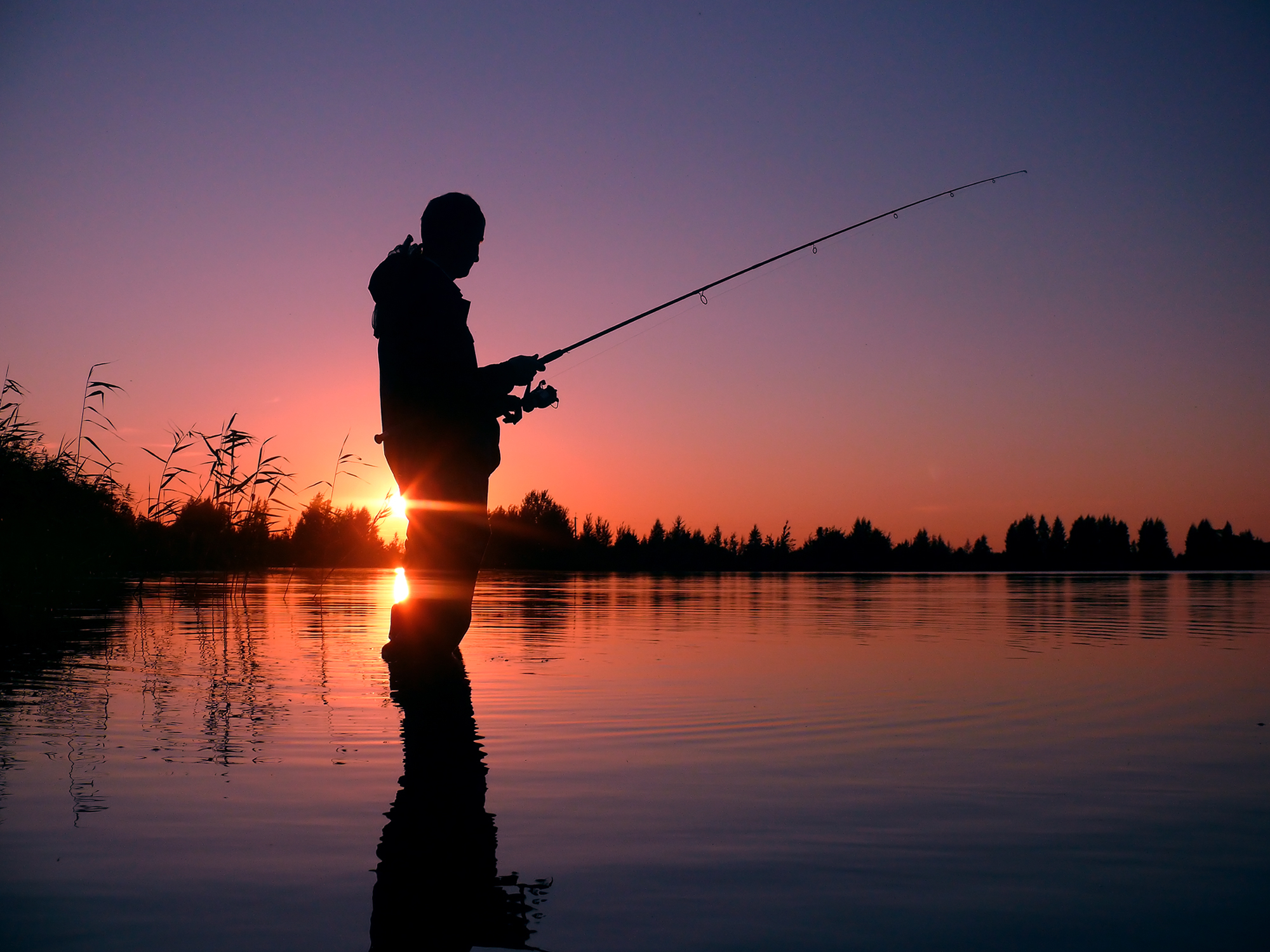 Сон ловлю рыбу на удочку для мужчины. Рыбак на закате. Рыбак с удочкой. Красивая природа рыбалка. Мужик с удочкой.