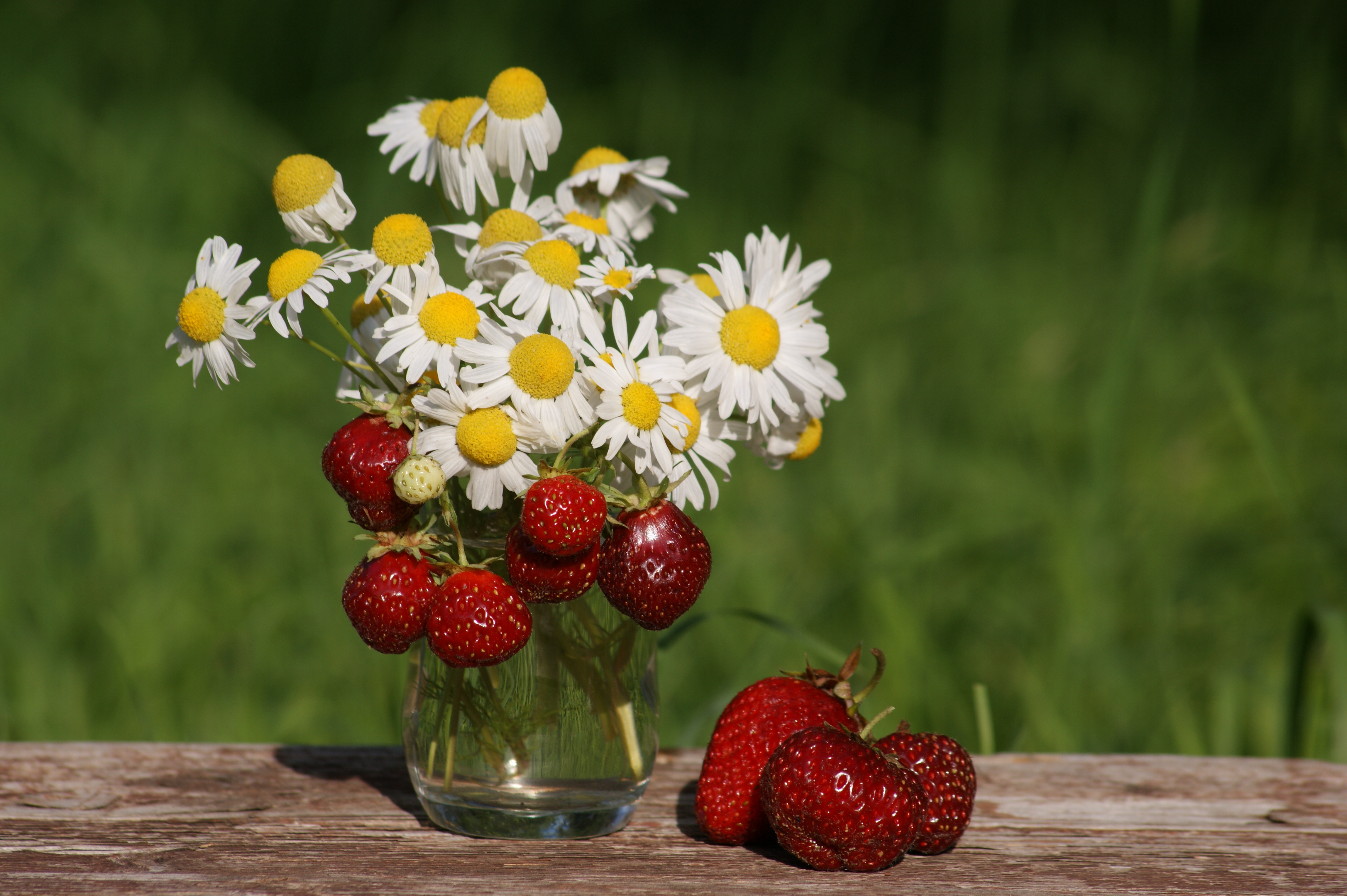 Июль месяц. Лето июль. Ромашки и ягоды. Лето природа земляника и Ромашка. Июльские цветы.