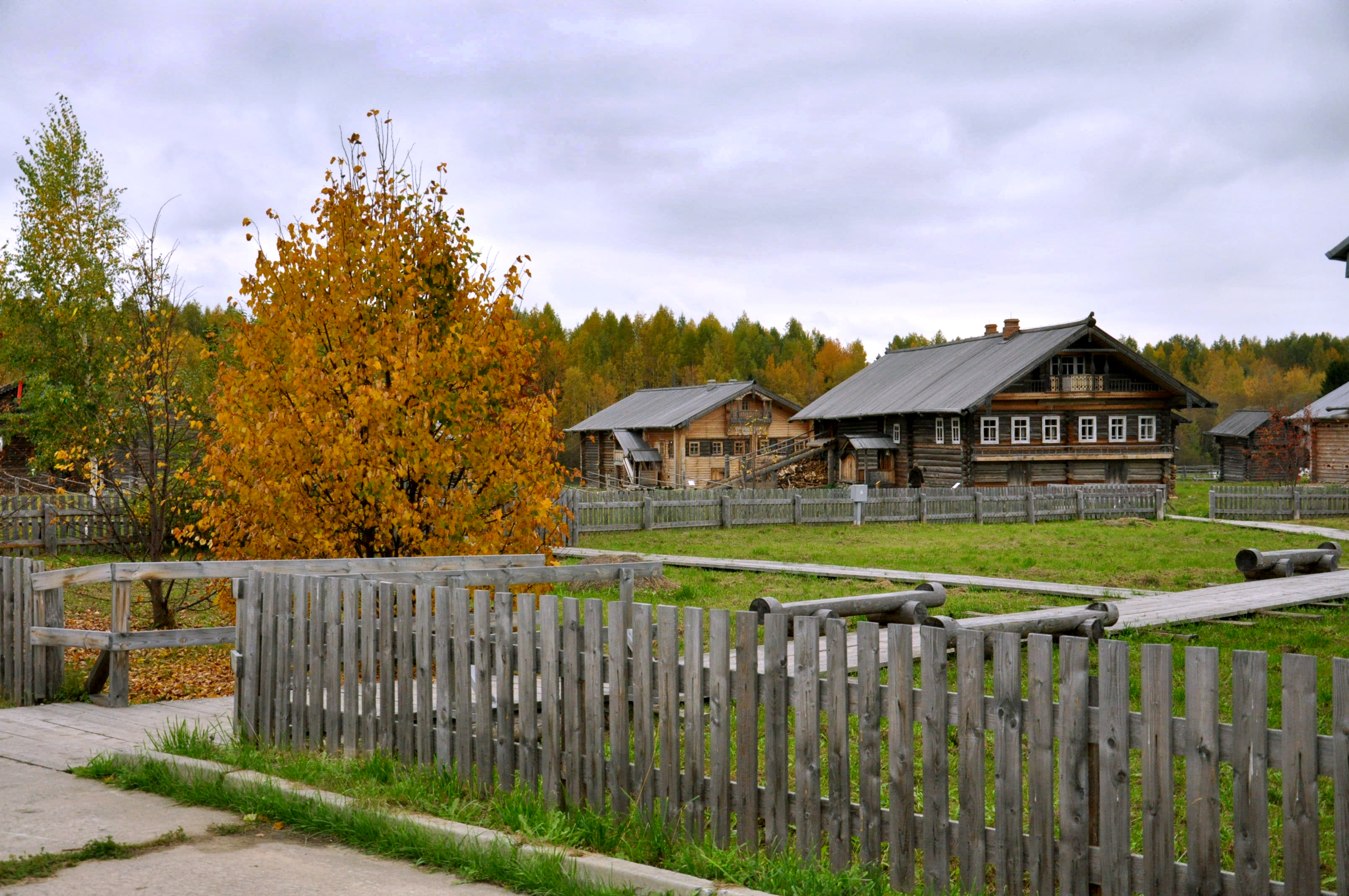 Сельская пора. Фото деревни Силинские участки.