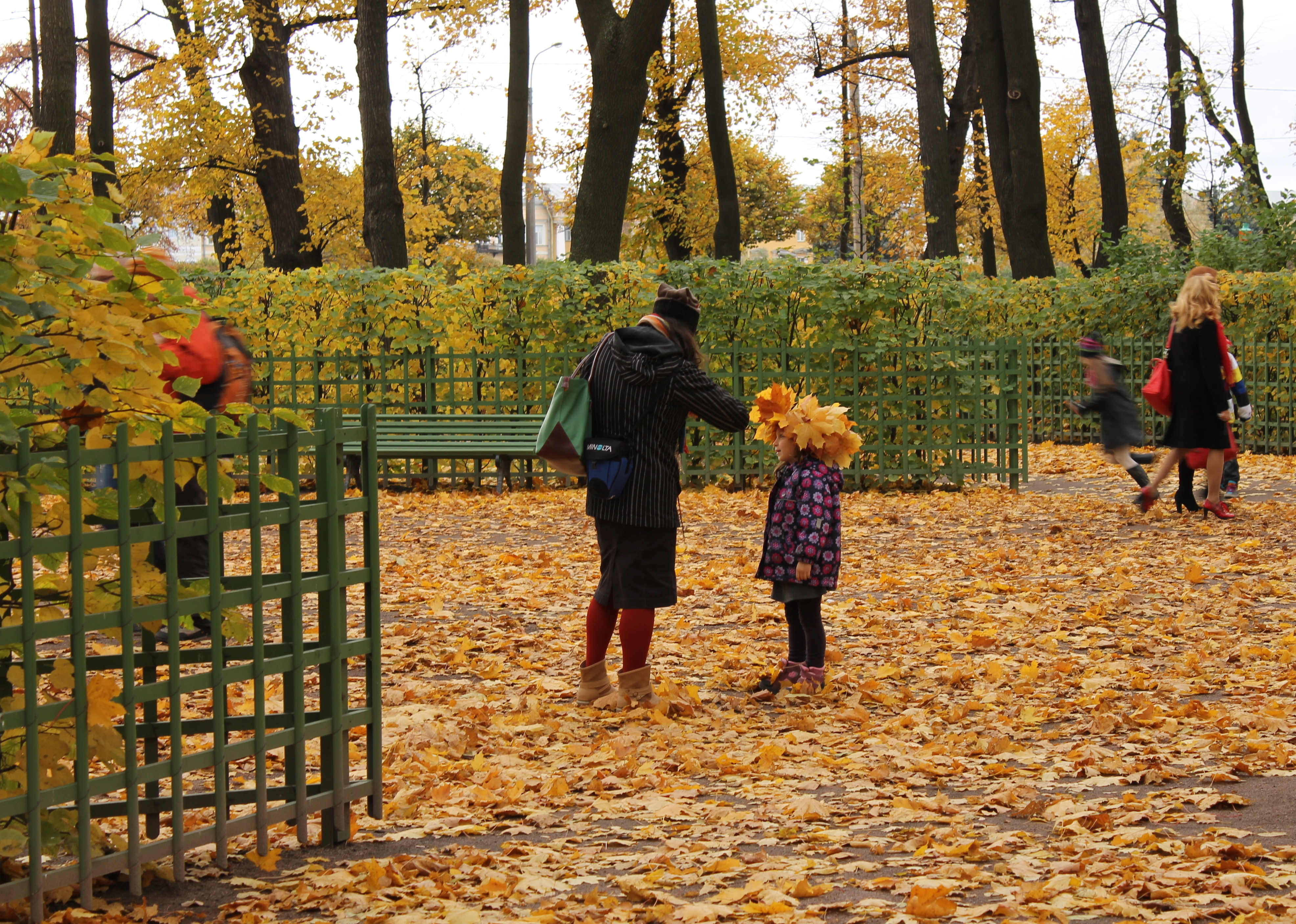 Кружатся города. Кружится над городом. Листья жёлтые над городом оригинал. Листья жёлтые над городом кружатся слушать. Желтые листья в фильме кадры.