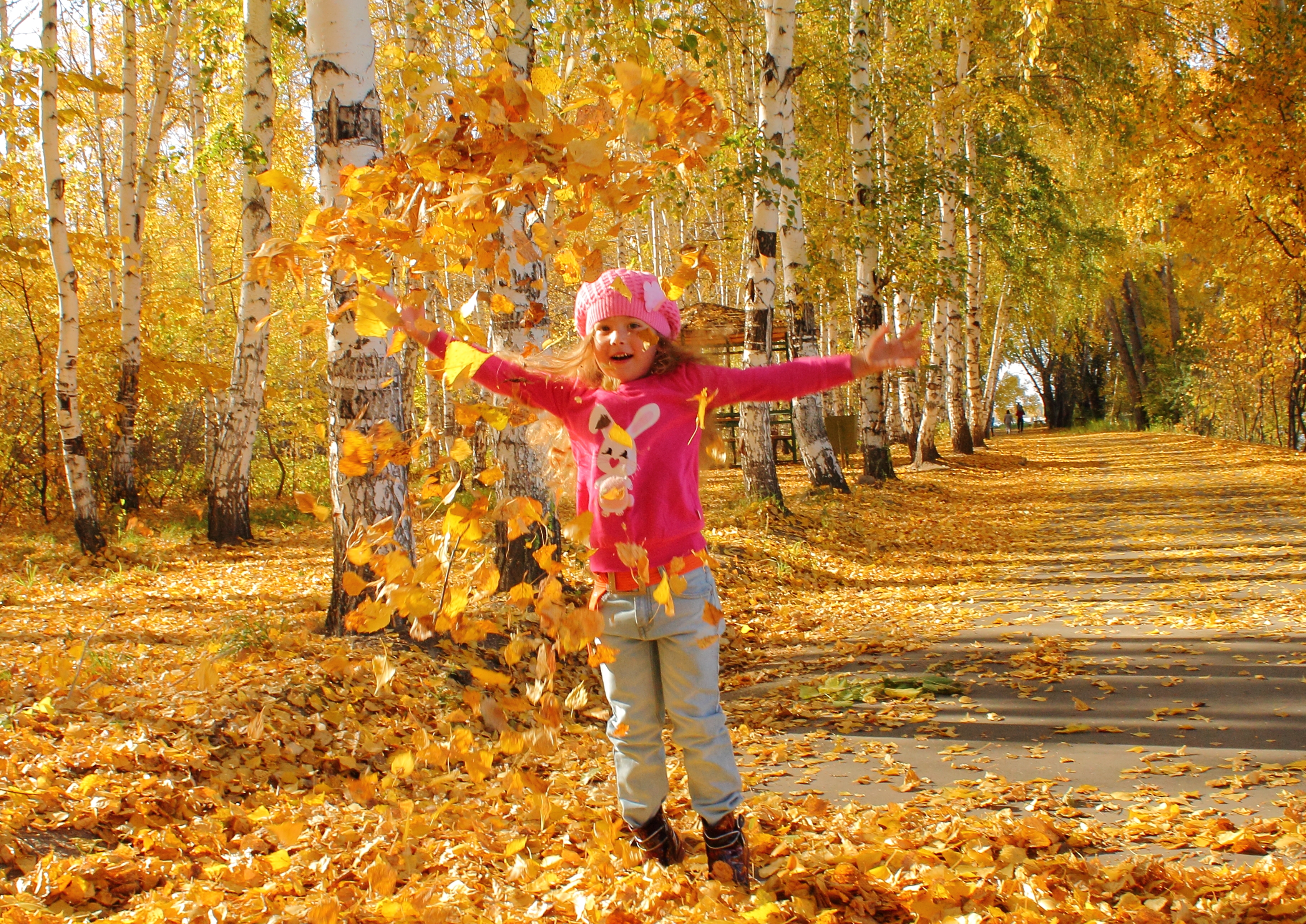 В парк пришла осень. Осенний листопад. Осень листопад. Осенняя прогулка. Осенние забавы.