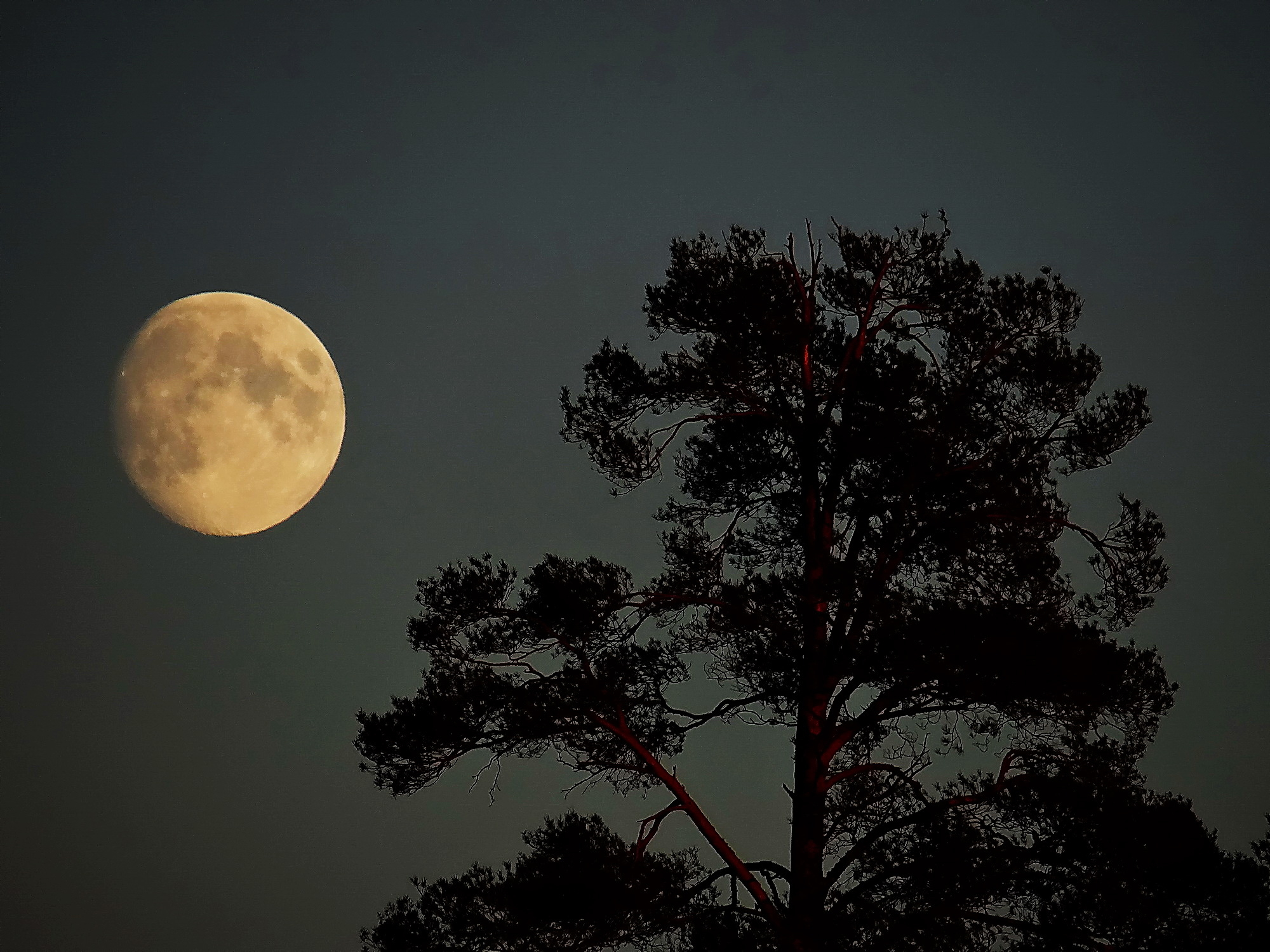 Слушать песню луна светила. Ночное светило. Луна там огромней. Луна что там.