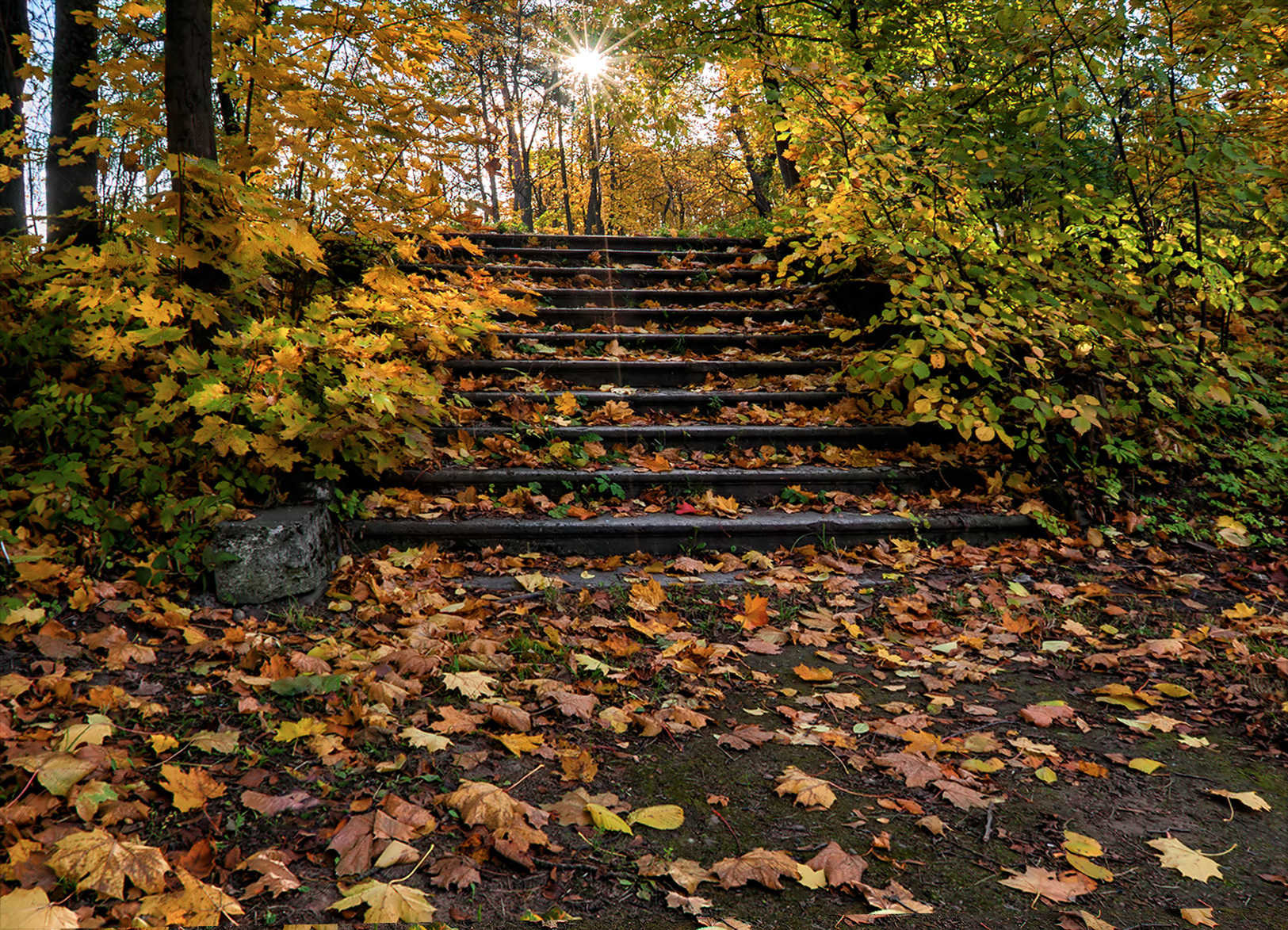 Осенний блюз. Осенний блюз картинки. Осенний блюз конкурс. Первоуральск аллея лесенка. Что такое осенний конкурс ступенька.