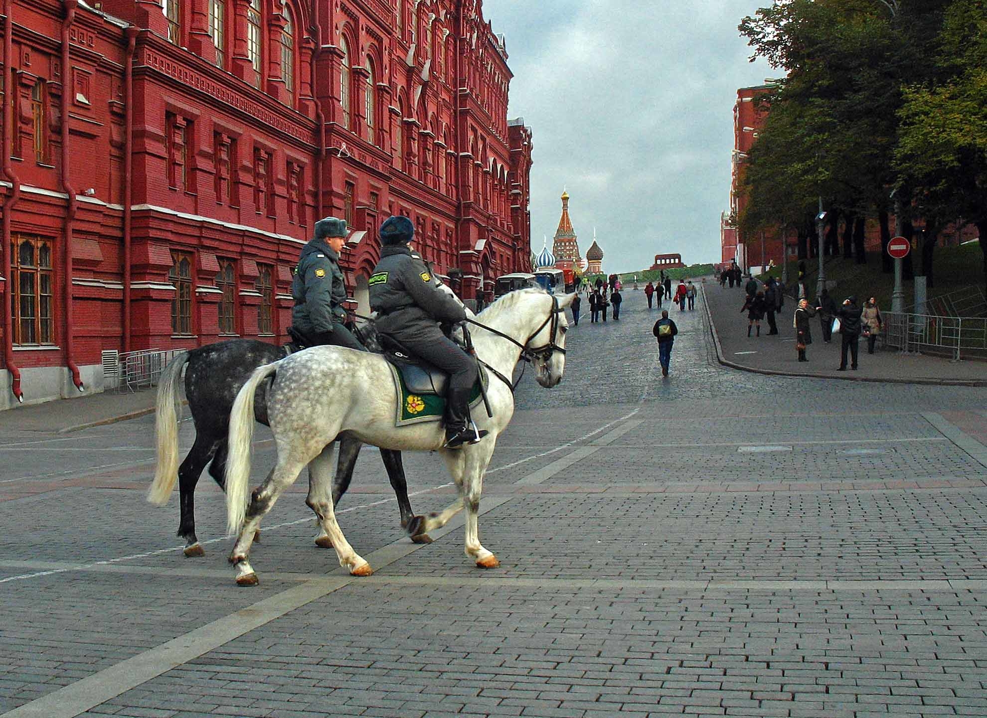 кони москвы