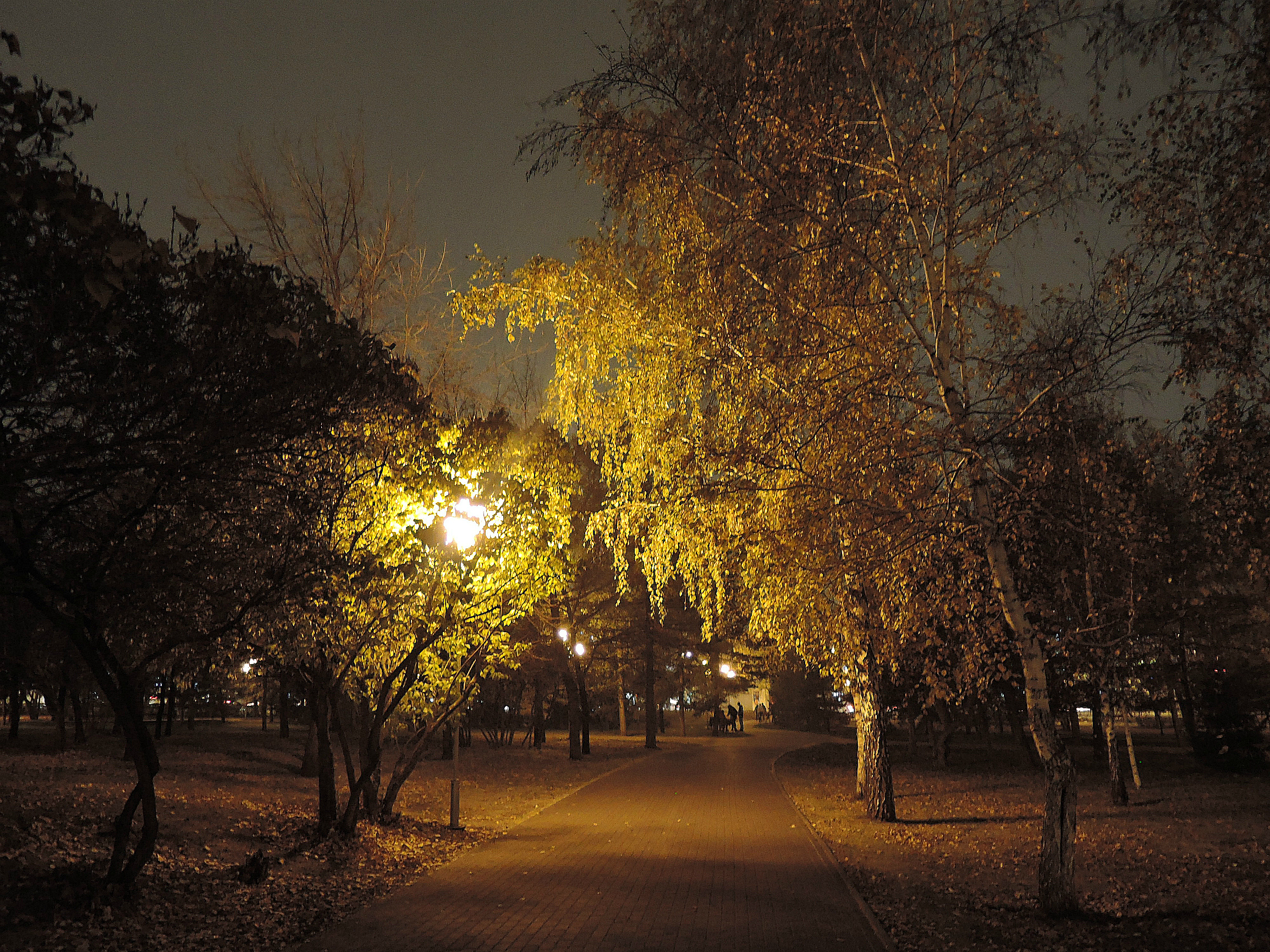 Какой завтра будет вечер. Вечерняя аллея город Салават. Осень вечер. Осенний парк вечером. Осенняя ночь.